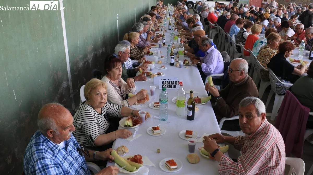 Cerca de 260 mayores de 26 municipios coincidieron en Pereña en esta IV Convivencia Comarcal de Primavera / CORRAL