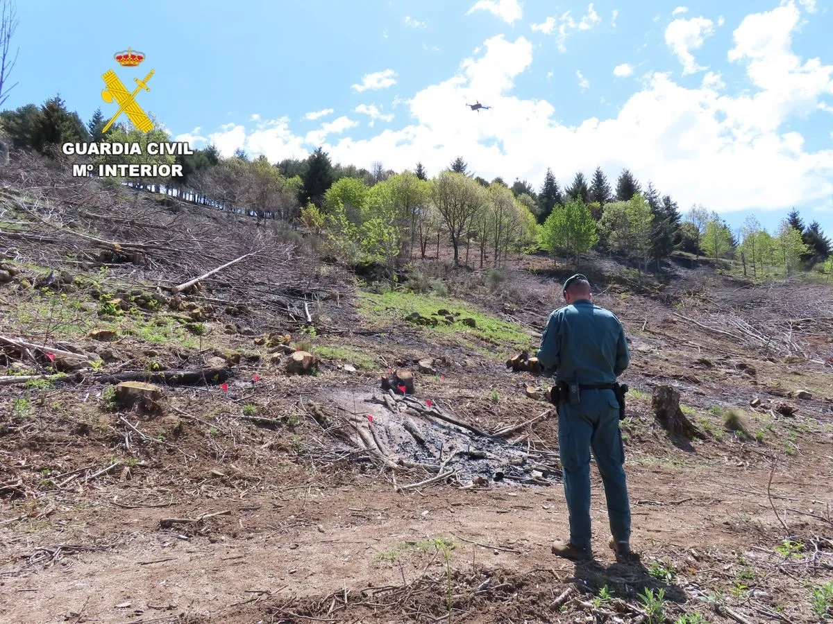 Incendio forestal en Puerto de Béjar tras una presunta negligencia en una quema de rastrojos. Foto cedida por la Guardia Civil