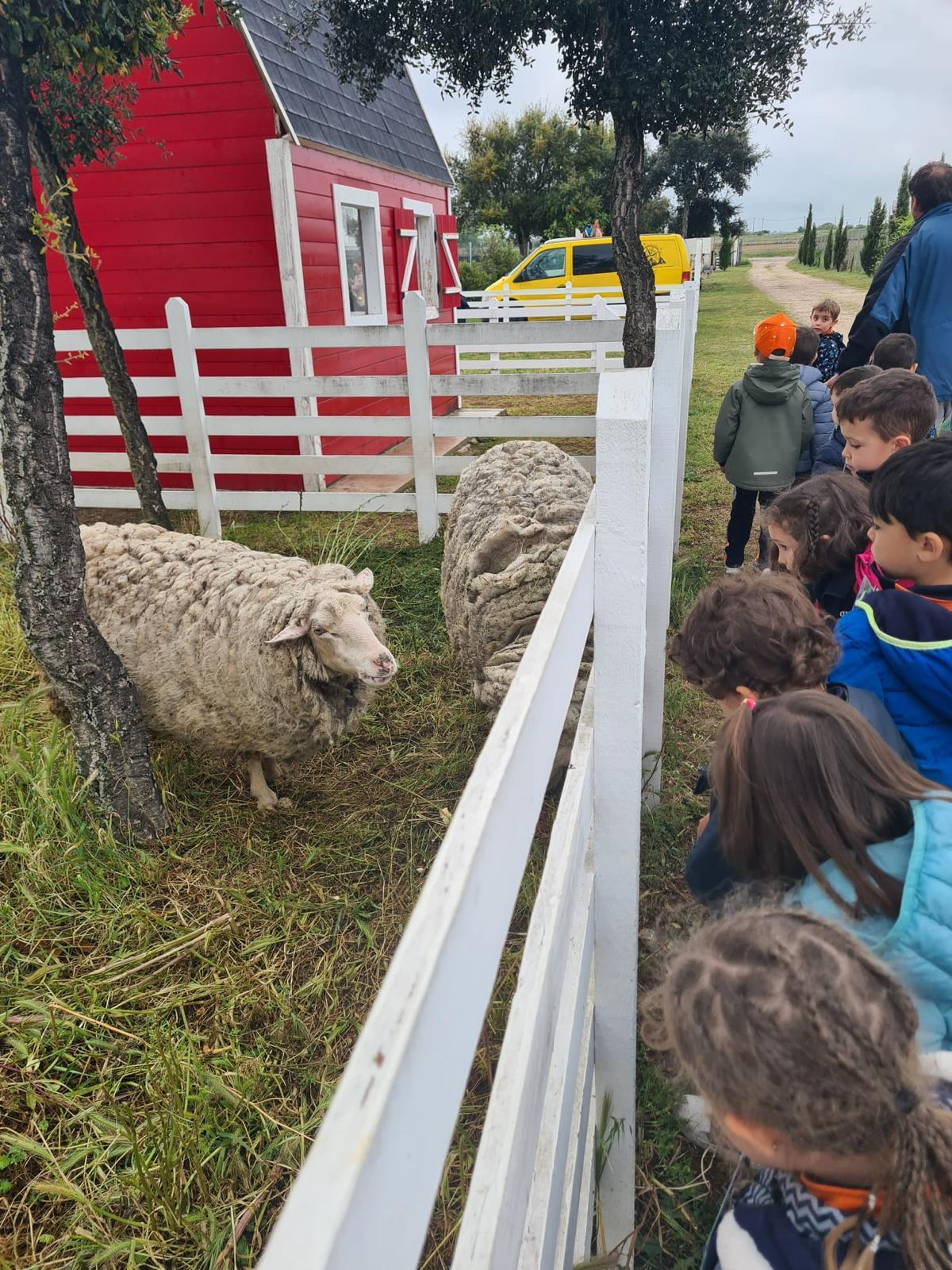 El Colegio Antonio Machado de Salamanca celebra sus fiestas con excursiones y actividades lúdicas