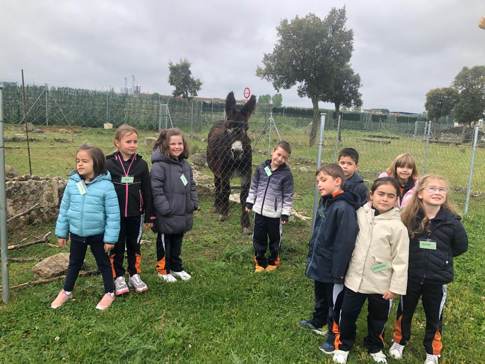 El Colegio Antonio Machado de Salamanca celebra sus fiestas con excursiones y actividades lúdicas