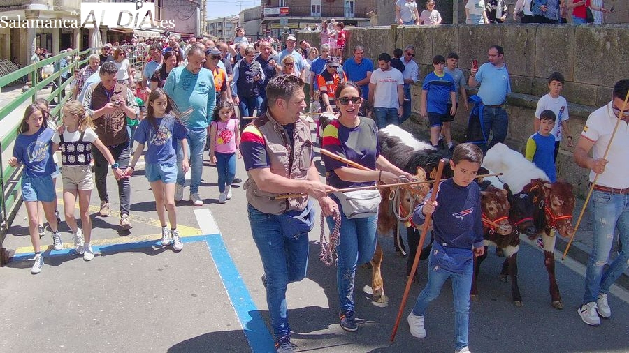 IX Toro de Cajón Vitigudino: Campanillas, Saltarios y más