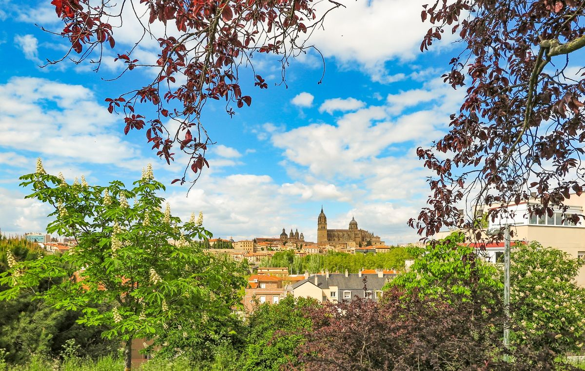 Catedrales de Salamanca