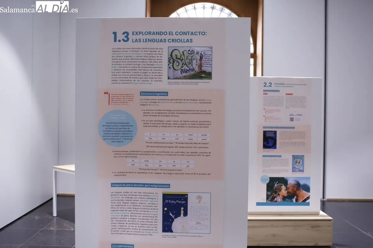Presentación de ‘Diversiling’, el proyecto divulgativo de la USAL sobre riqueza lingüística. Foto de Ángel Puma