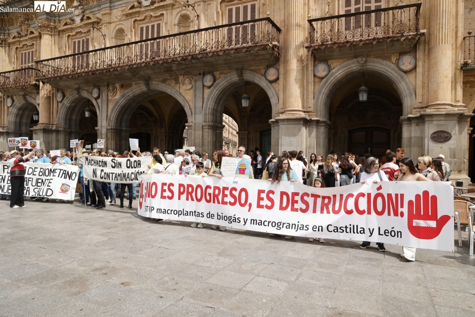 Manifestación en la Plaza Mayor contra las plantas de biogás | Fotos: David Sañudo