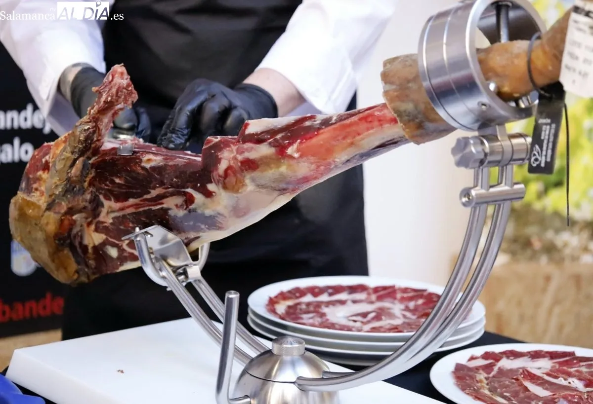 El presidente de la Diputación de Salamanca, Javier Iglesias, recibe en el Patio de La Salina a los participantes de la I Cumbre Internacional de Gastronomía Castilla y León 2025 en un cóctel elaborado con productos de Salamanca en bandeja. Fotos: David D