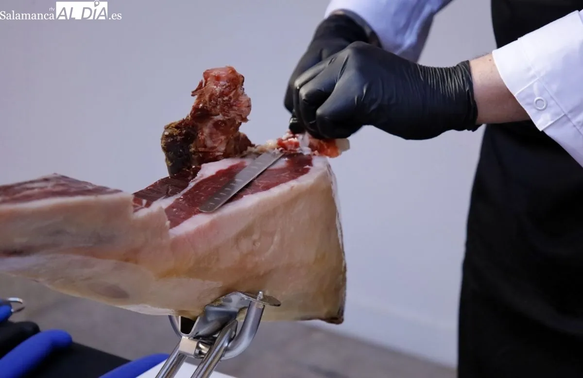 El presidente de la Diputación de Salamanca, Javier Iglesias, recibe en el Patio de La Salina a los participantes de la I Cumbre Internacional de Gastronomía Castilla y León 2025 en un cóctel elaborado con productos de Salamanca en bandeja. Fotos: David D
