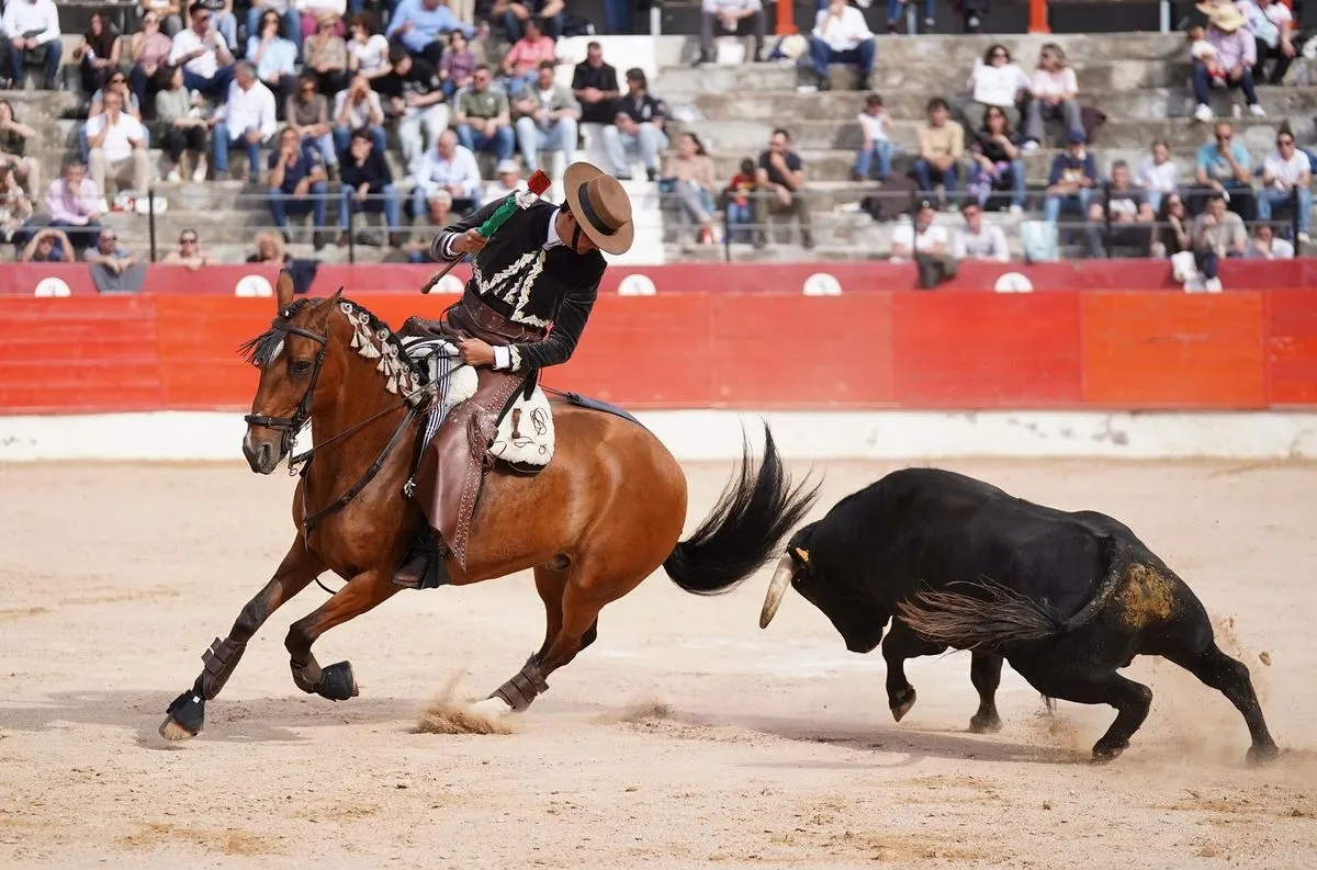 Sergio Pérez de Gregorio en Corella | Fotos: Sergio Pérez de Gregorio