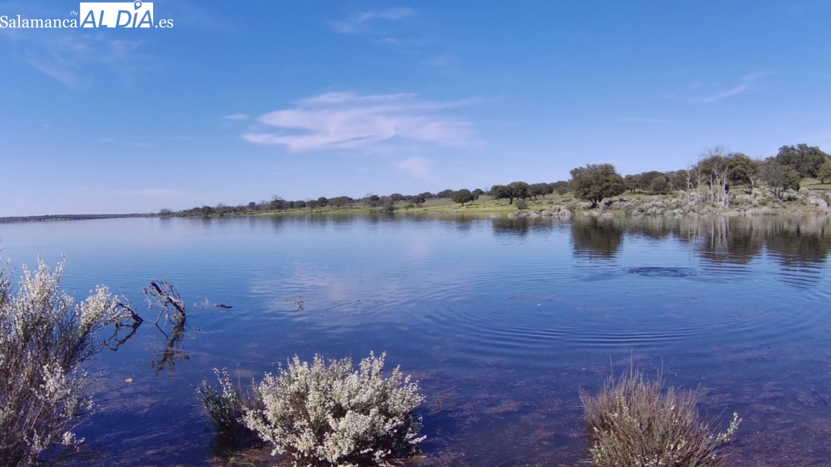 El embalse de Almendra se sitúa al 96,5% de su capacidad máxima con un volumen de 2.494,86 hm³  