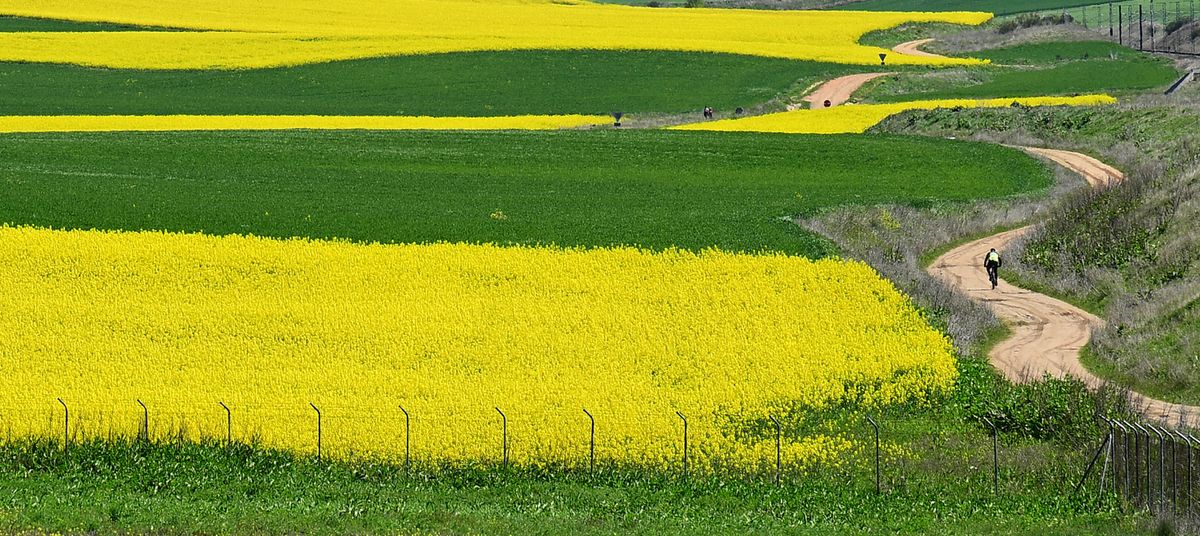 Villares de la Reina, Salamanca