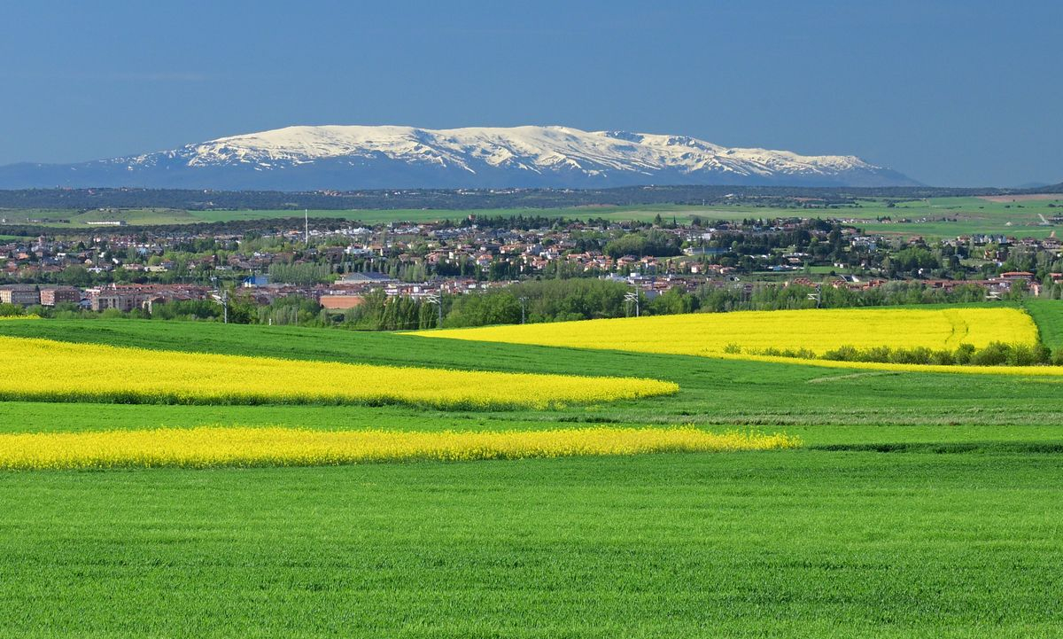Villares de la Reina, Salamanca