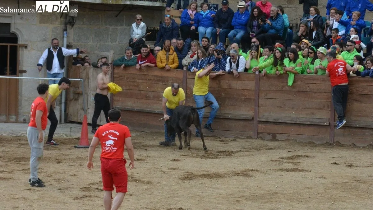 Las peñas animaron la primera tarde de las fiestas de El Noveno
