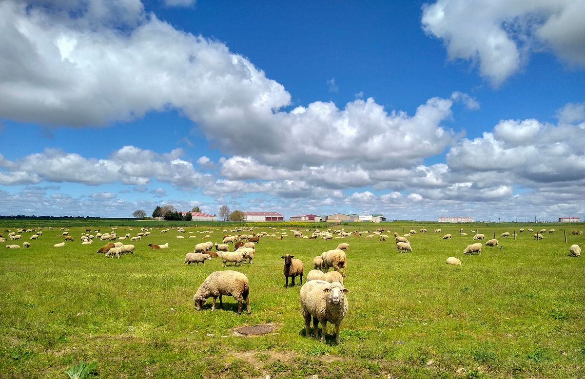 Villares de la Reina, Salamanca