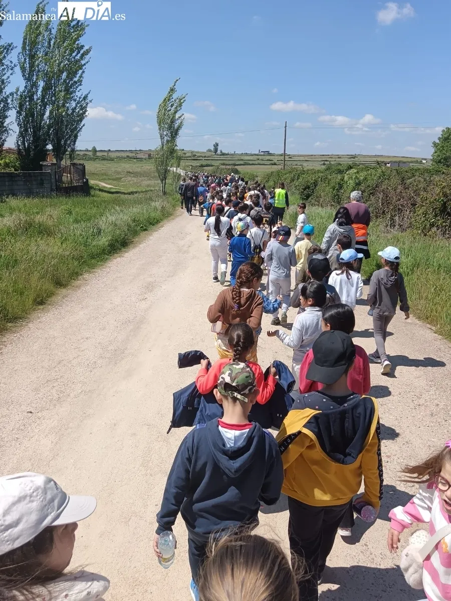 Participaron más de 200 niños junto a profesores, usuarios de Asprodes, AMPA y Protección Civil de Vitigudino  