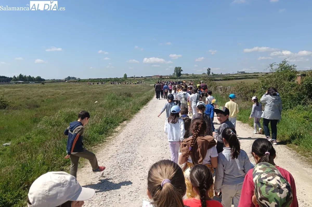 Participaron más de 200 niños junto a profesores, usuarios de Asprodes, AMPA y Protección Civil de Vitigudino  