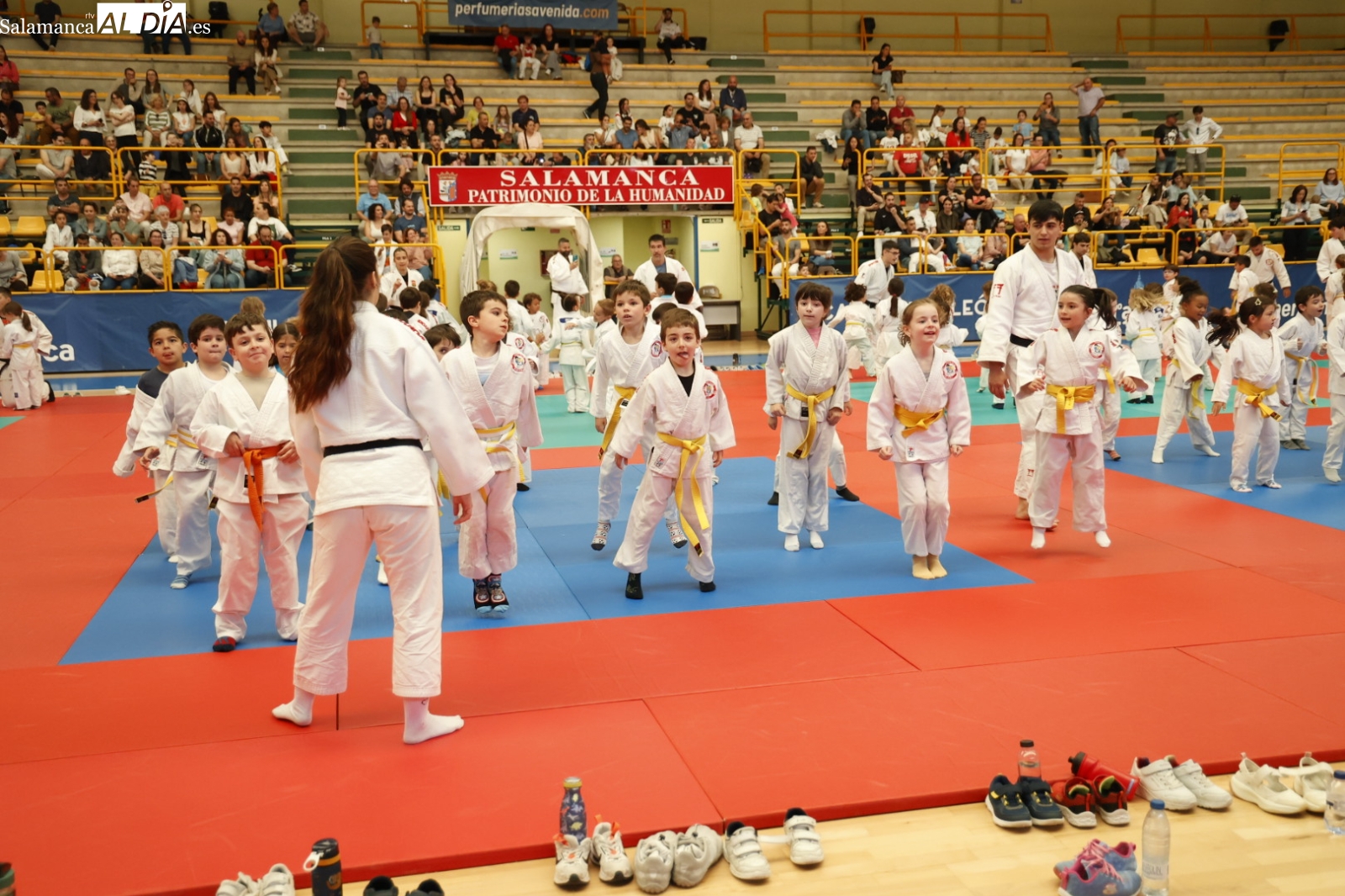 Würzburg se llena de judocas en una nueva jornada de Juegos Escolares (FOTOS)