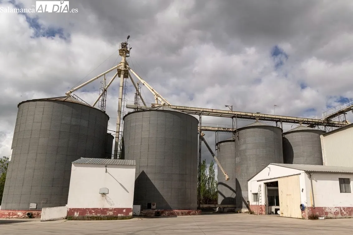 Foto 4 - C&eacute;sar Mart&iacute;n Zaballos e Hijos: tradici&oacute;n, calidad y diversificaci&oacute;n en el sector agroalimentario