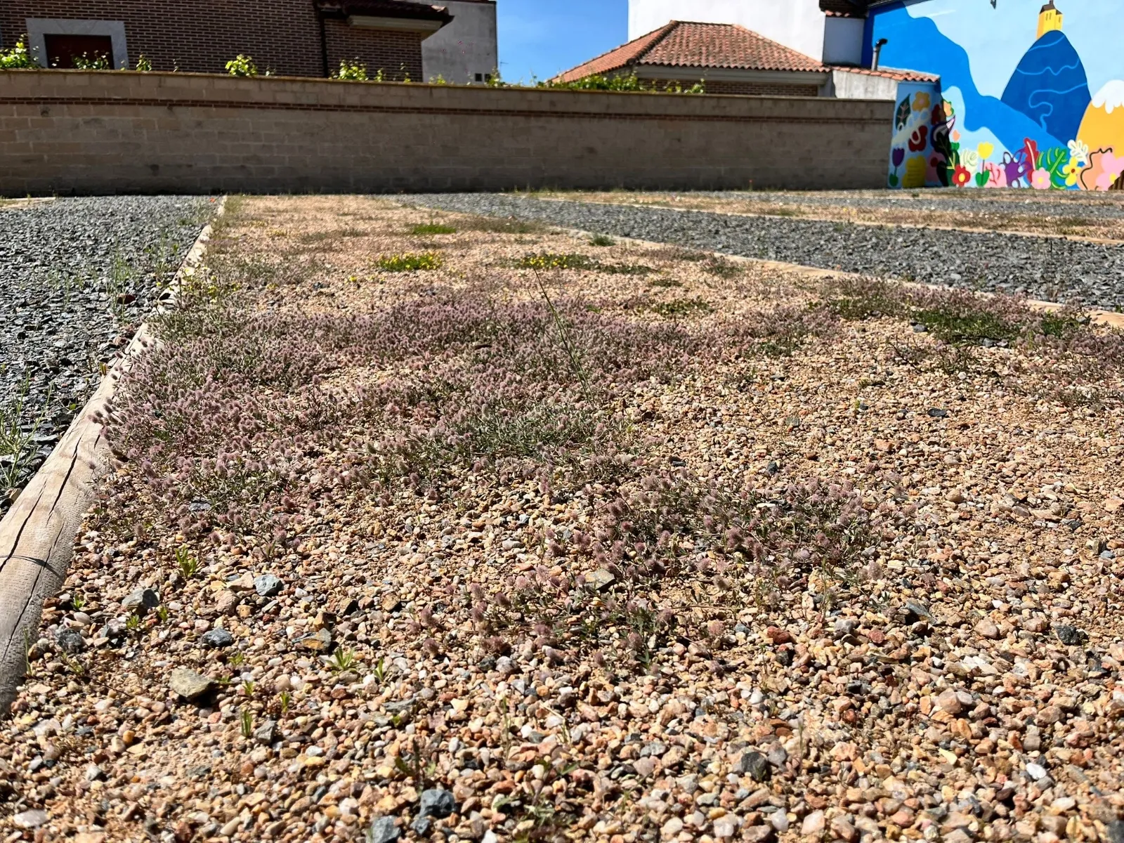 Foto 2 - El PP reclama la apertura de los aseos y crear espacios de sombra en el parque Clara Campoamor