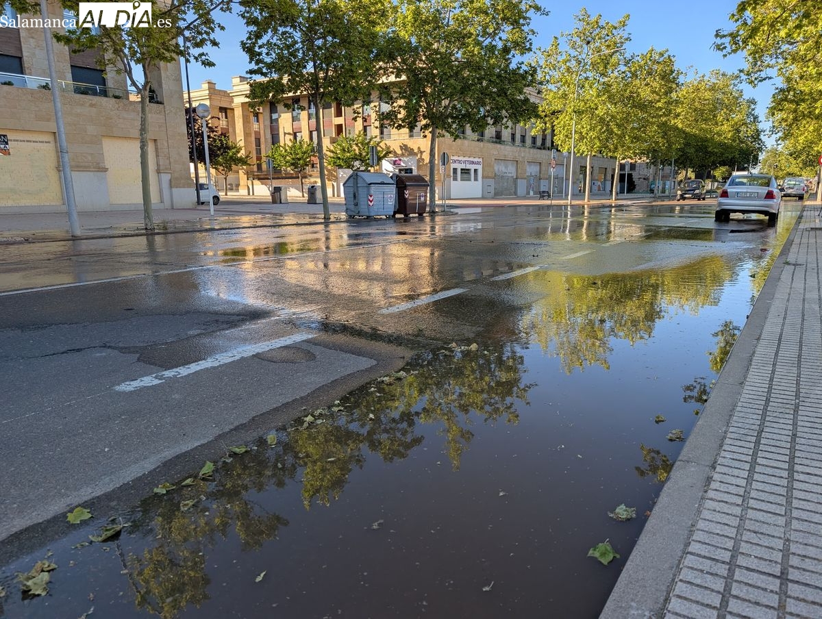 Reventón de una tubería en la avenida de San Agustín de Salamanca