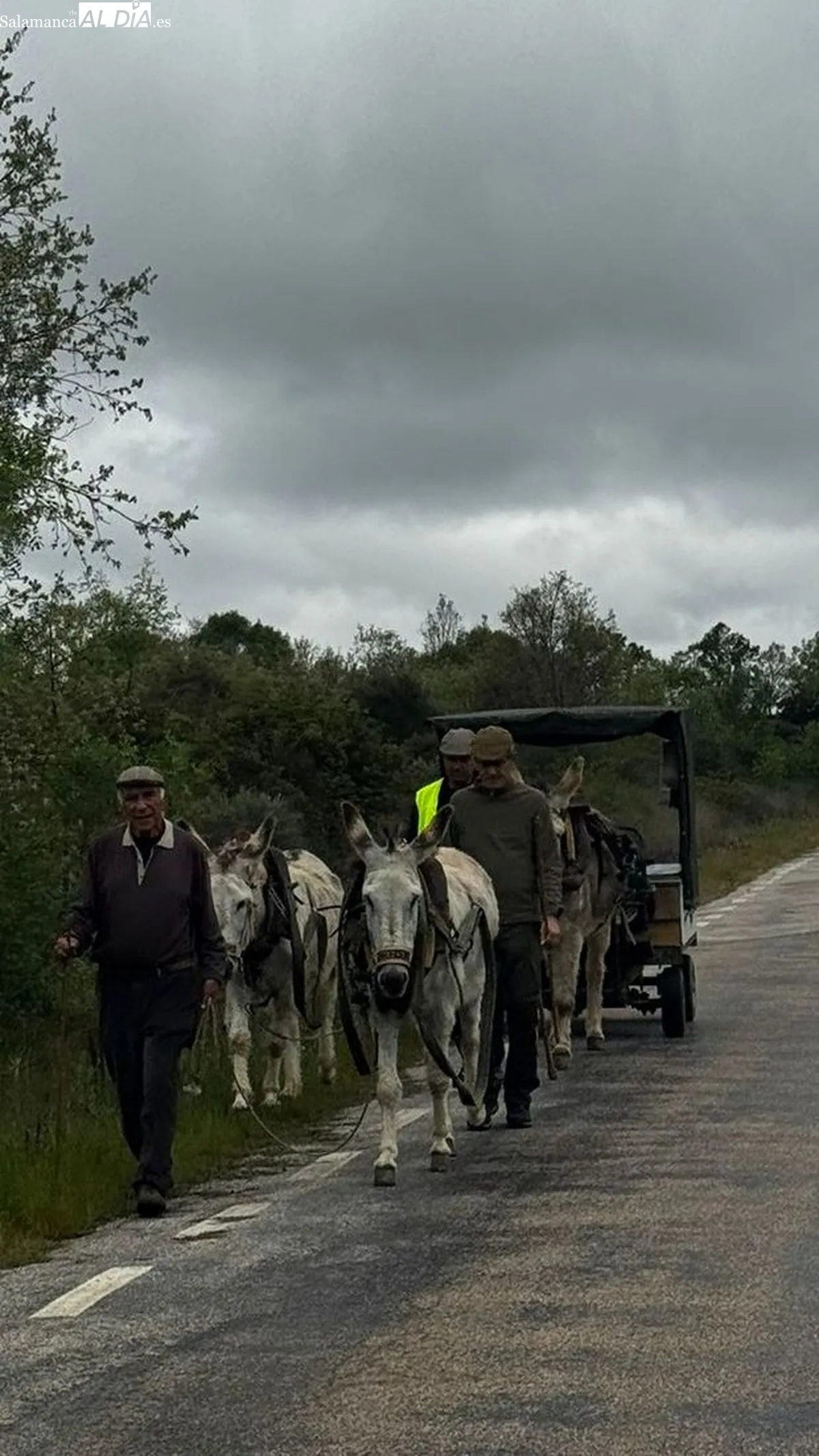 Caminantes y burras en la ermita del Cristo de Cabrera