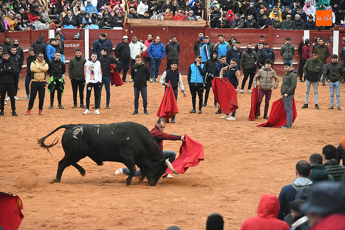 Este miércoles, Pleno y la última sesión de la Comisión organizadora del Carnaval 2025