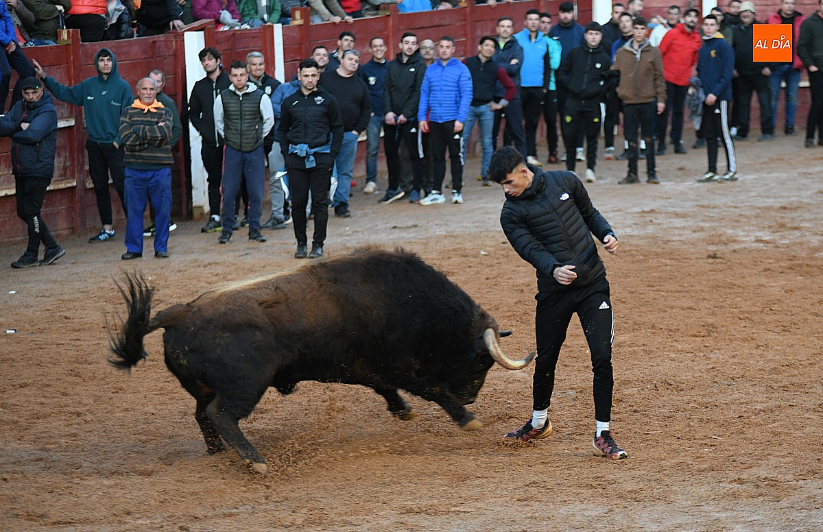 El Carnaval del Toro 2025 costó 463.644€, casi 40.000€ más que el de 2024	