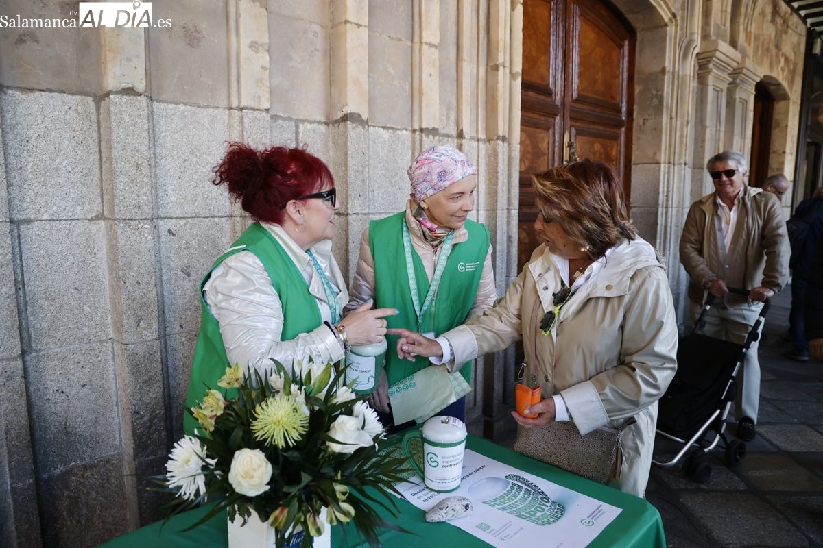 Cuestación de la AECC en Salamanca
