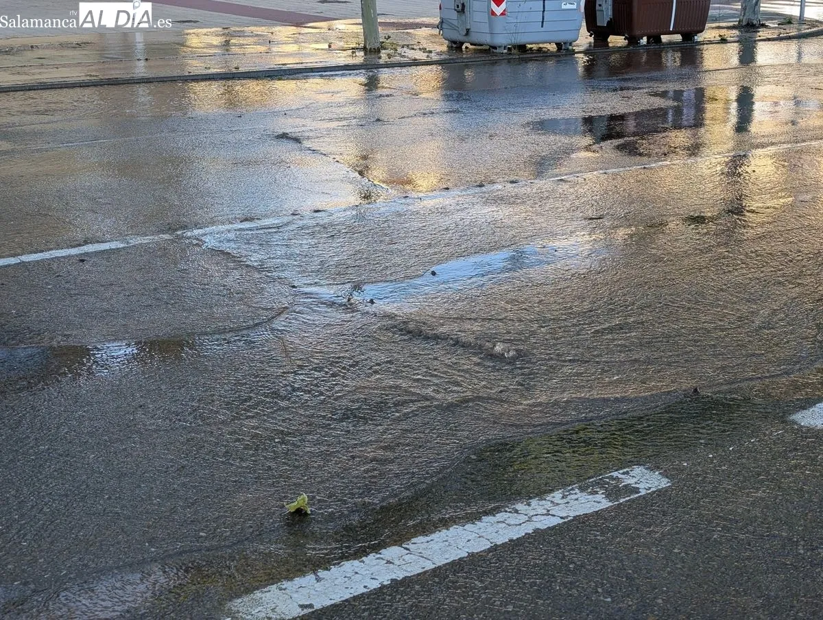 Imágenes de la avenida de San Agustín tras el reventón de una tubería de agua. Fotos: David Sañudo