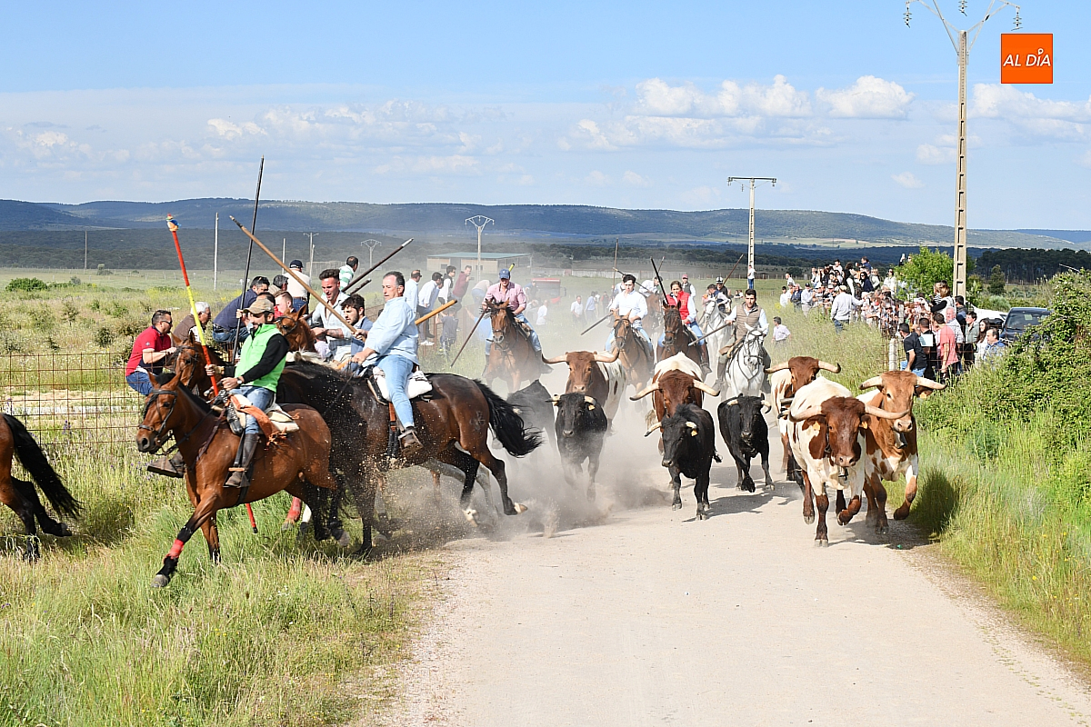 Degustación  huevos con farinato y  encierro a caballo  San Isidro  Carpio de Azaba