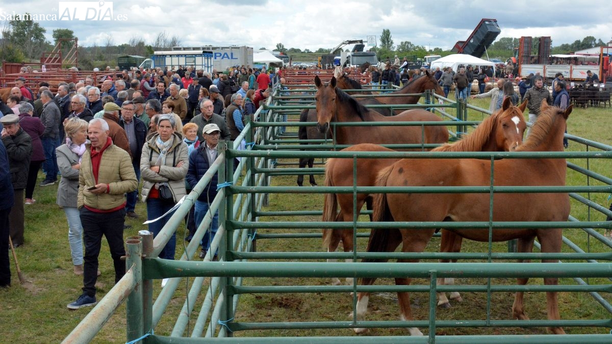 Programa completo de la feria ganadera y feria agroalimentaria de Lumbrales
