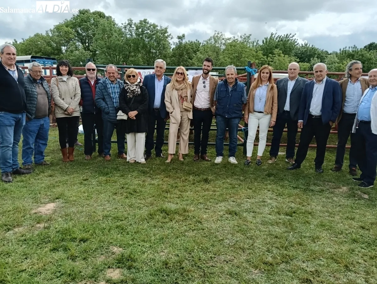 Foto 4 - Cerca de 200 cabezas de ganado devuelven el esplendor a la Feria de San Isidro en Lumbrales