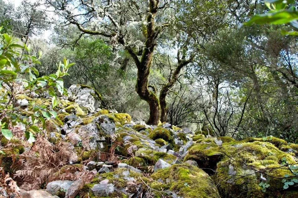 La Senda del Chorro de las Batuecas: una escapada natural perfecta sin salir de la provincia de Salamanca | FOTO: Manuel Lamas 