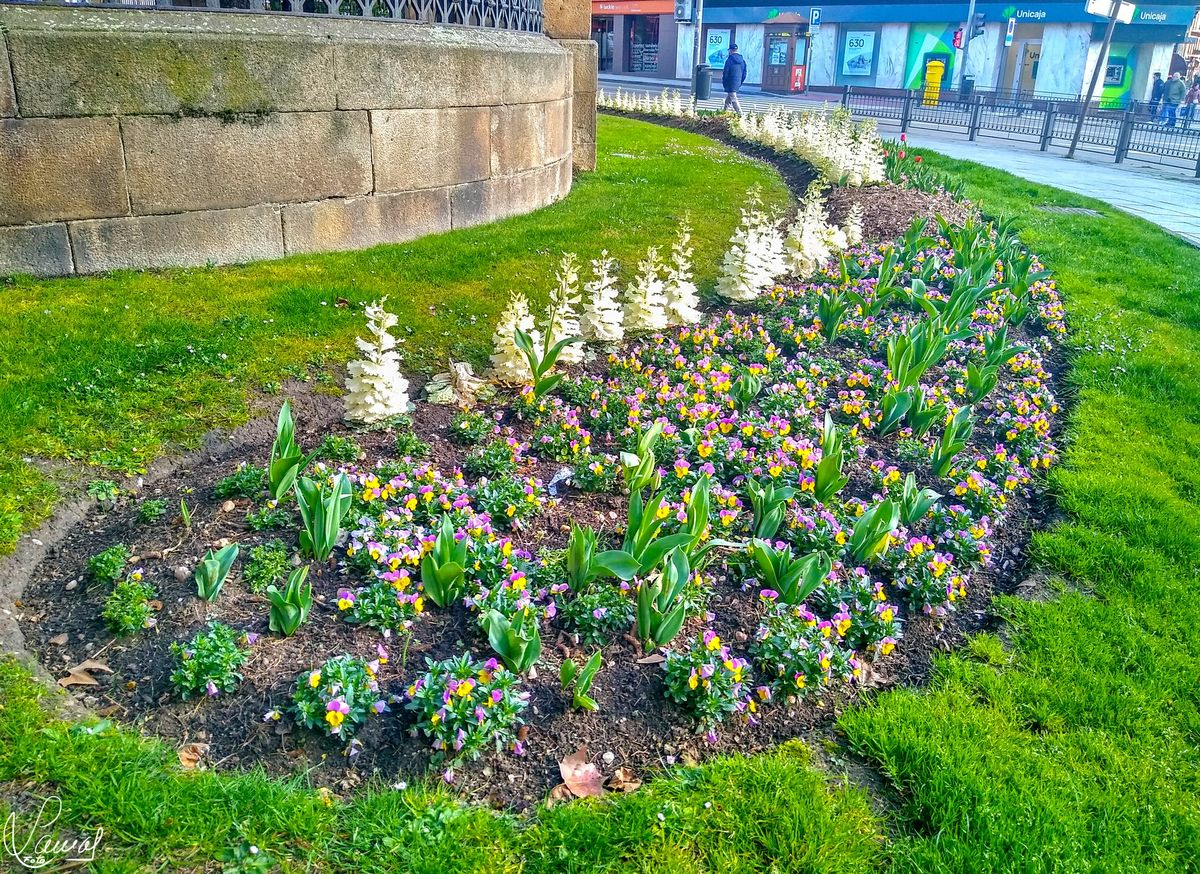 Jardín del Hospital de la Santísima Trinidad en Salamanca