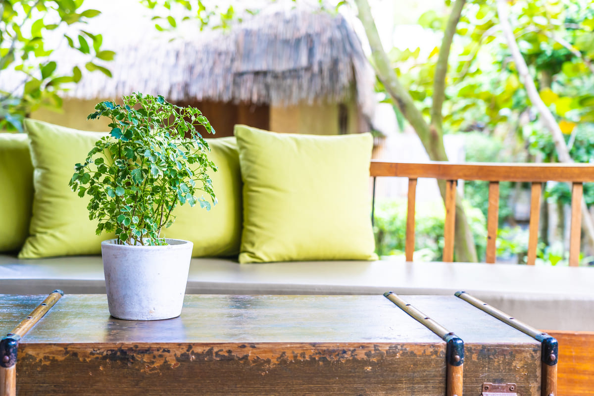 Decora tu jardin, terraza o patio este verano: ideas con productos que puedes encontrar en Amazon