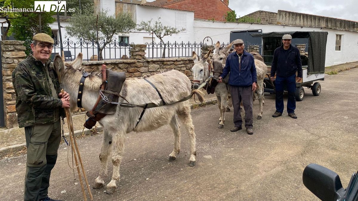 Ruta a pie y la compañía de 3 burras desde Lumbrales al Cristo de Cabrera