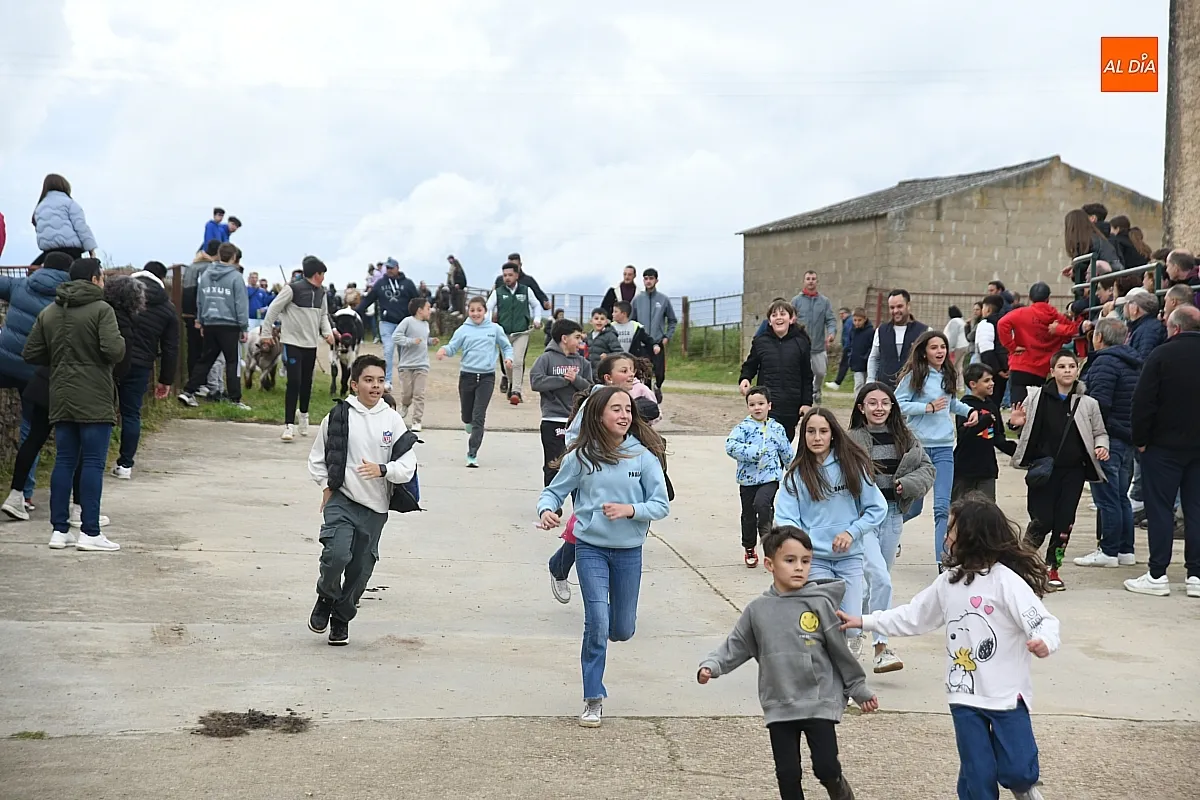 Tarde taurina por la Santa Cruz en Saelices el Chico/ Fotos: Adrián M.Pastor