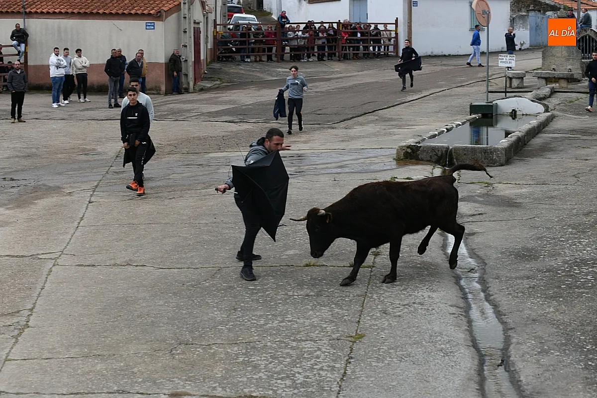 Tarde taurina por la Santa Cruz en Saelices el Chico/ Fotos: Adrián M.Pastor