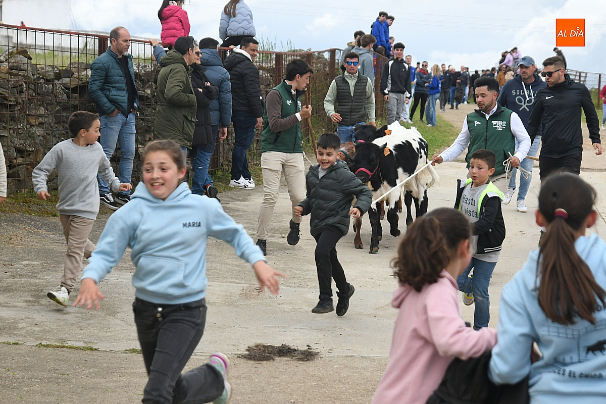 La lluvia no quiso perderse la tarde taurina de Saelices el Chico