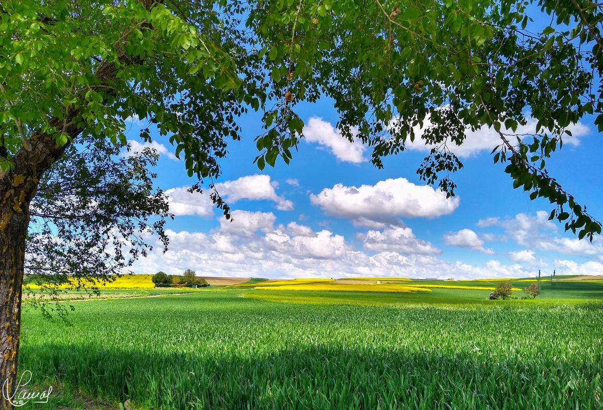 Villares de la Reina