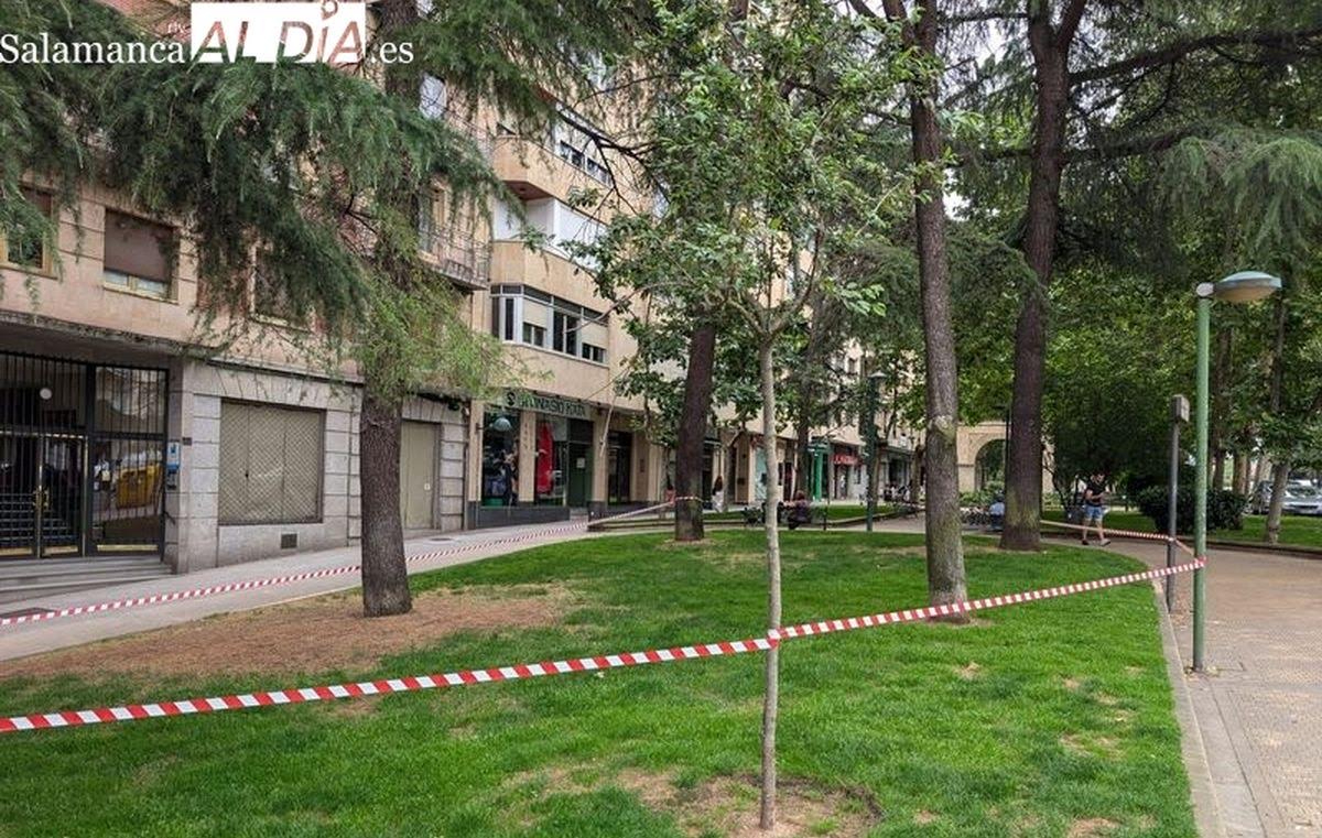 Cierrre de parques y zonas aroboladas por las predicciones meteorológicas