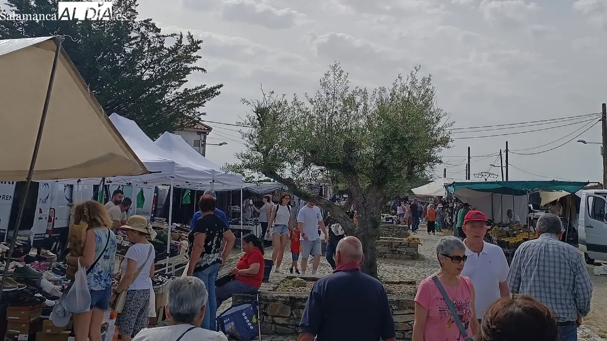 Excelemnte afluencia de público y puestos en el mercadillo de Trabanca celebrado ayer domingo 1 de junio / FOTOS: VÍCTOR PACHO