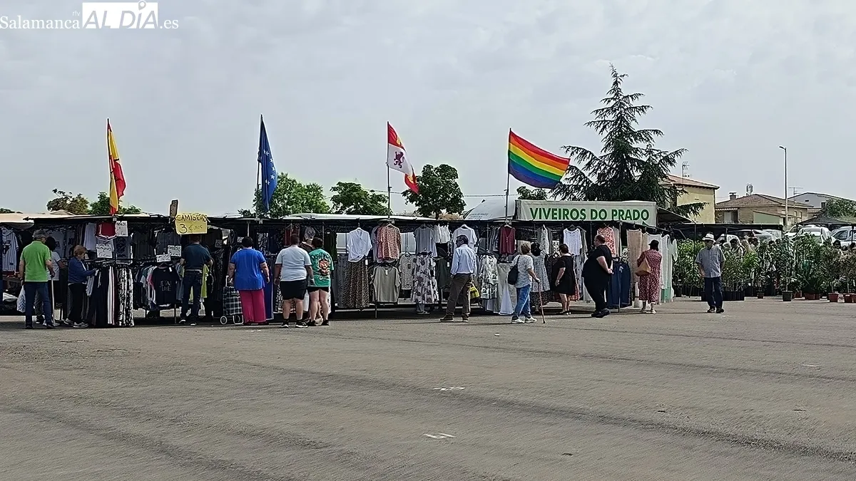 Excelemnte afluencia de público y puestos en el mercadillo de Trabanca celebrado ayer domingo 1 de junio / FOTOS: VÍCTOR PACHO