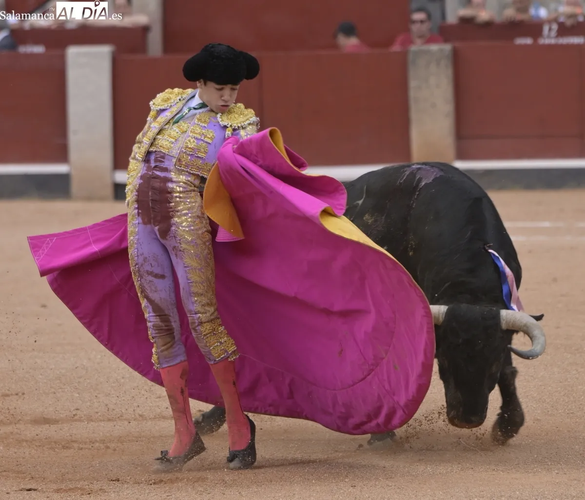 ¡Viva el toreo! 