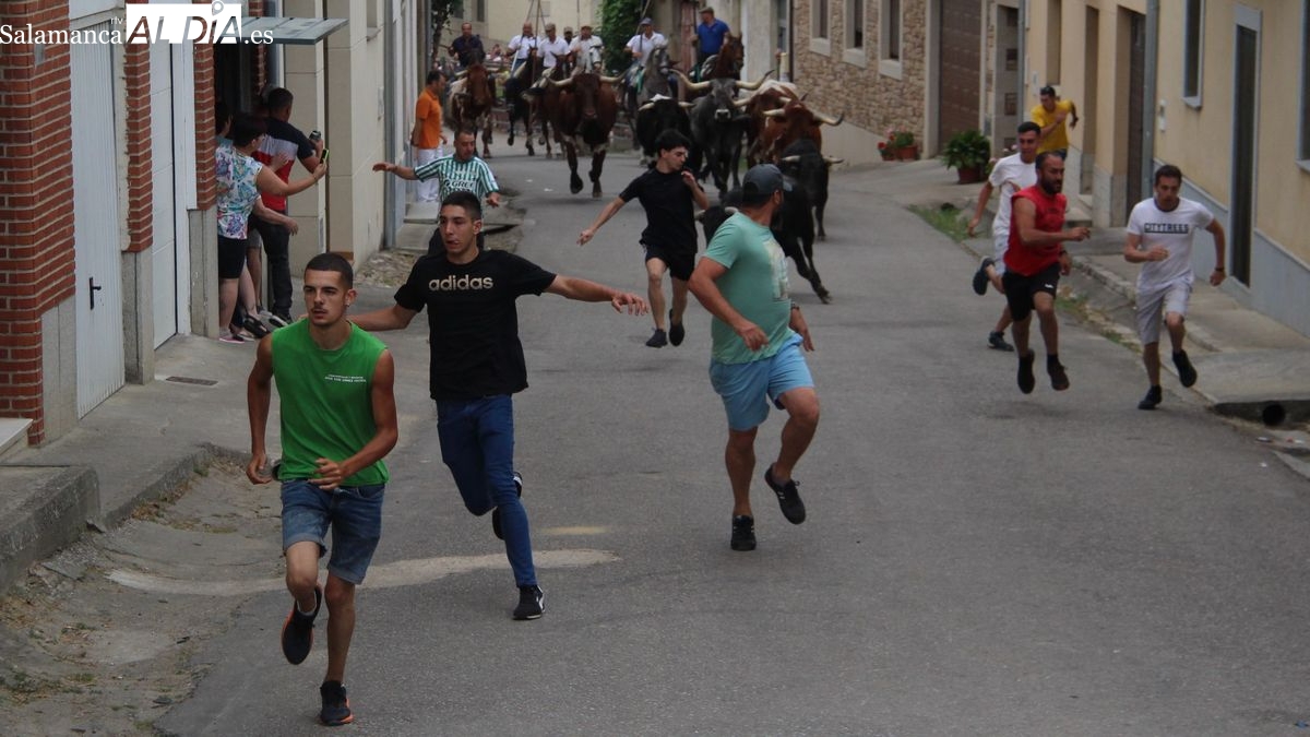 Vistoso primer encierro a caballo de las fiestas de San Juan de Hinojosa de Duero
