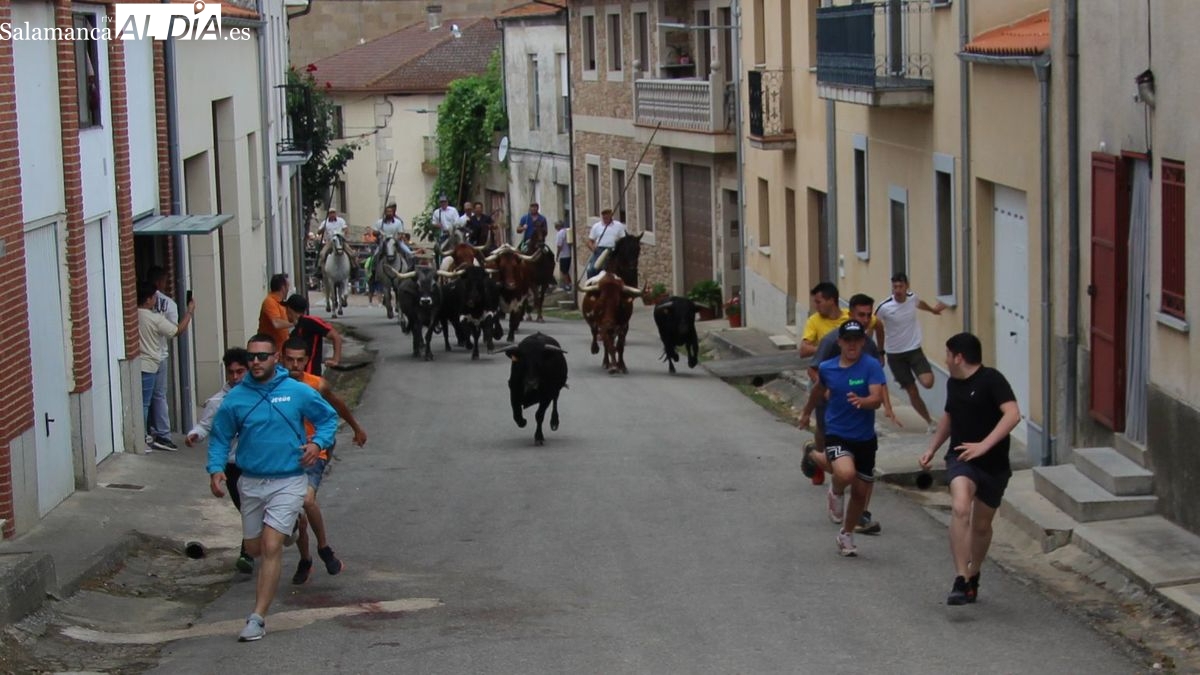 Hinojosa de Duero despide la fiestas de San Juan con una intensa jornada taurina