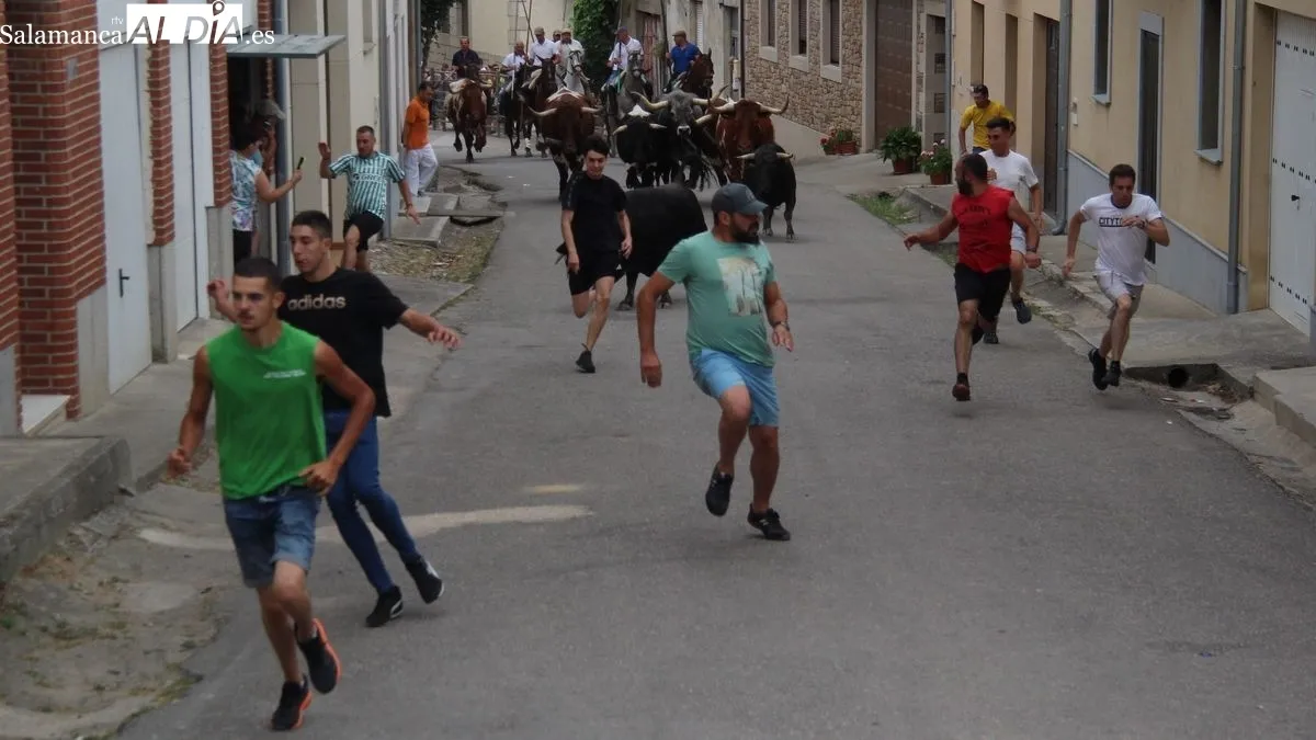 Foto 3 - Hinojosa de Duero abre los festejos taurinos de San Juan con un bonito encierro a caballo