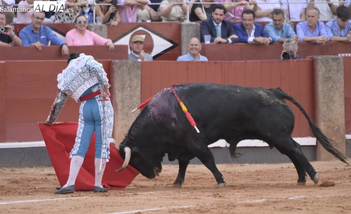 ¡Viva el toreo! 