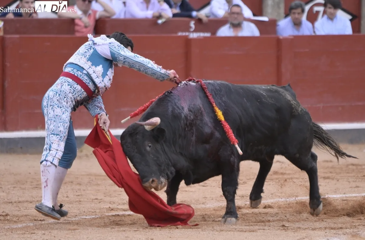 ¡Viva el toreo! 