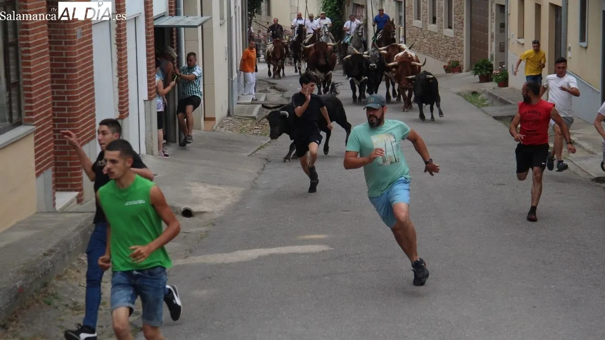 Foto 2 - Hinojosa de Duero abre los festejos taurinos de San Juan con un bonito encierro a caballo