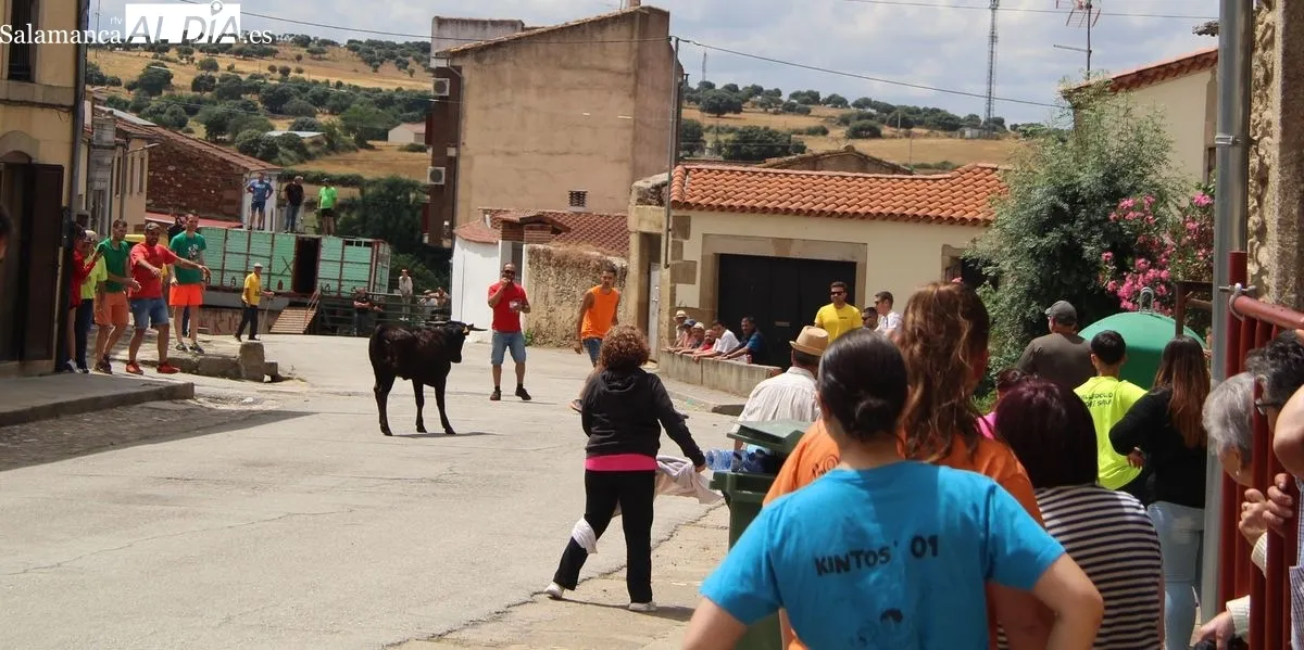 Foto 4 - Novillos, vaquillas y caballos protagonizan el &uacute;ltimo d&iacute;a de las fiestas de San Juan de Hinojosa de Duero