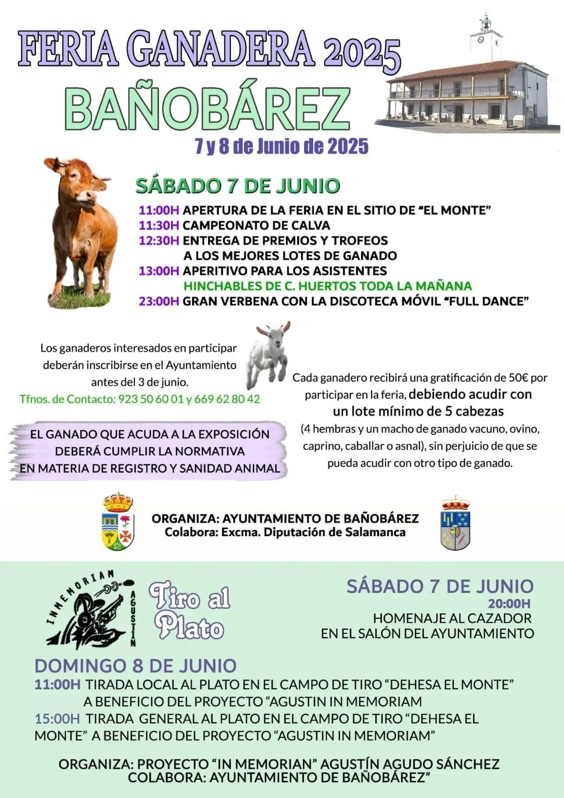 Los corrales del ferial acogerán ovejas y otros animales